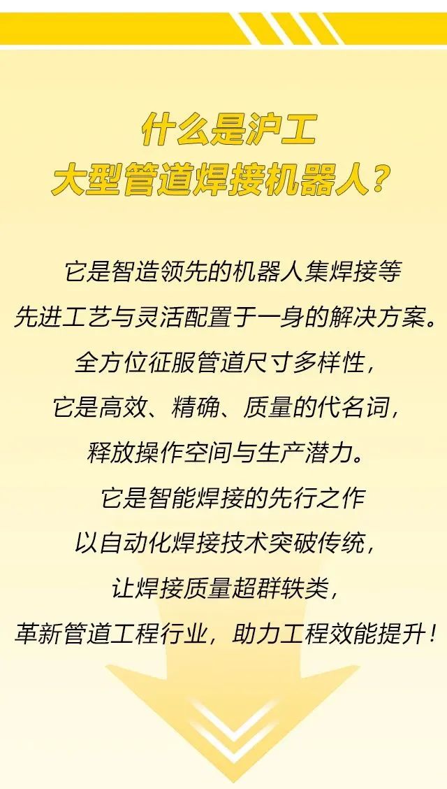币游国际