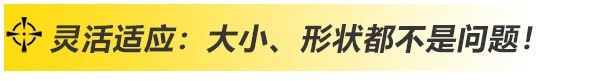 币游国际